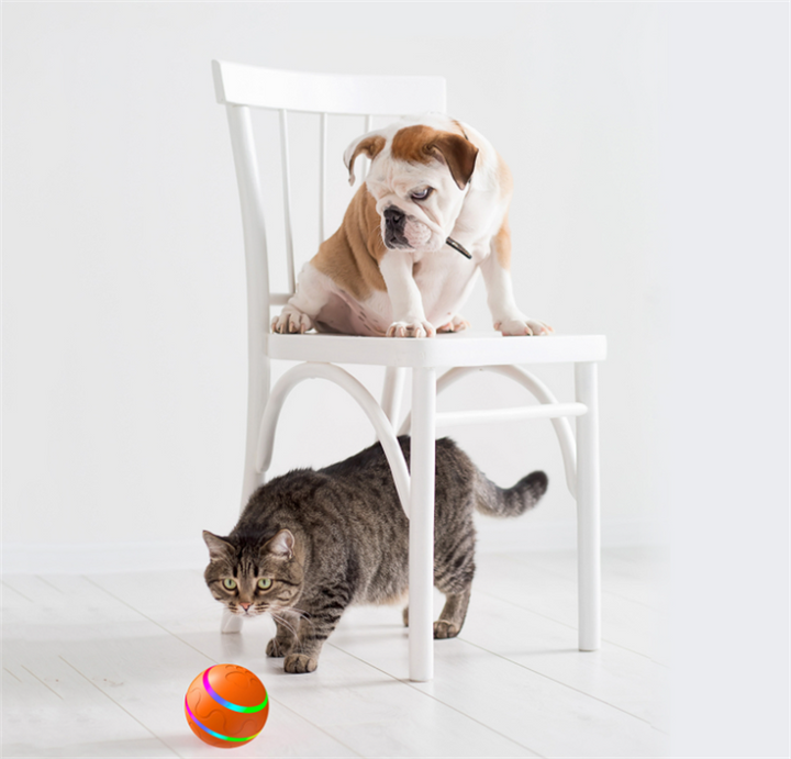Orange kattboll med LED-ljus