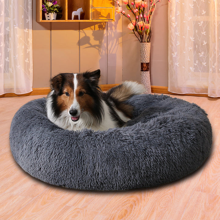 Hund ligger i fluffig rund bädd
