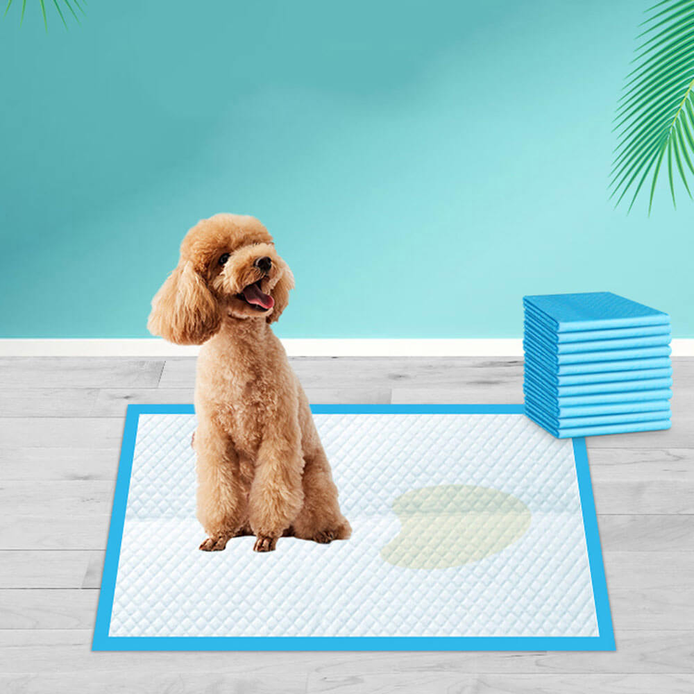 Efficient tisseputer for Hunder - clean home, easy hundet cleaning