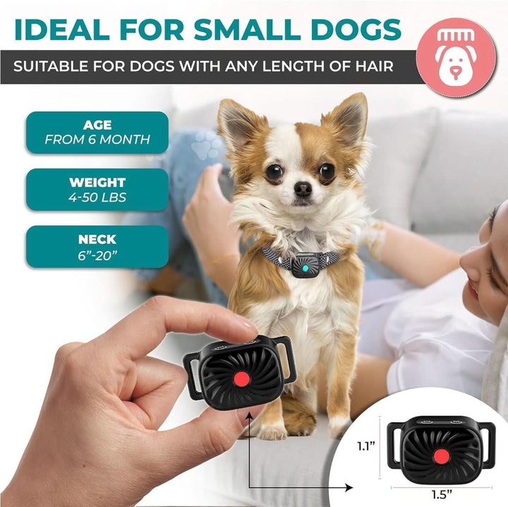 Anti-Bark Collar for Small Dogs