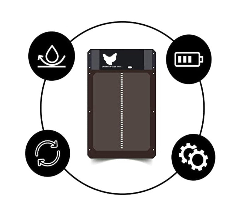 Automatic Hönsehusdör – Safety and Simplicity for Fjärfe