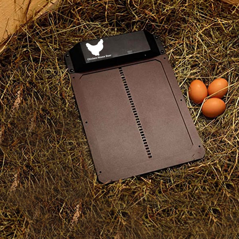 Automatic Hönsehusdör – Safety and Simplicity for Fjärfe