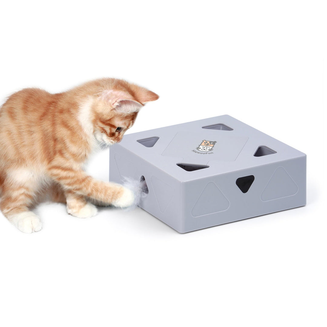 Interactive automatic katte toy with fjär for active cat