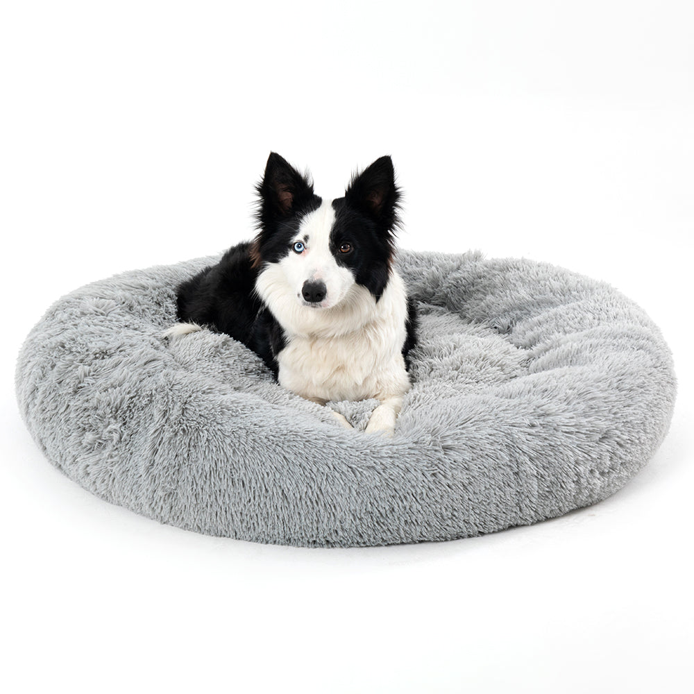 Hund ligger i fluffig rund bädd