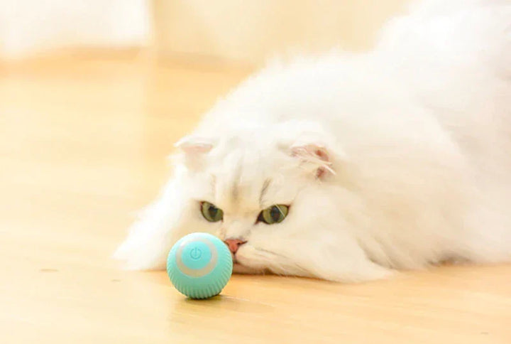 Interactive Smart Cat Play - Motion Activated Gravity Ball for Cats