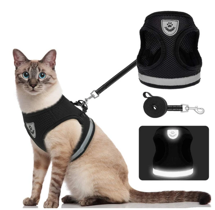 Katte harness and strap for secure outdoor adventure