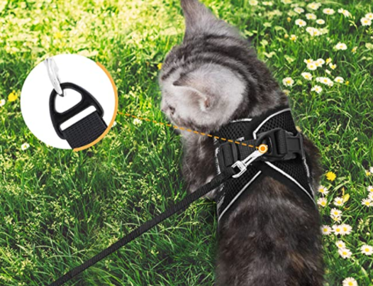 Katte harness and strap for secure outdoor adventure