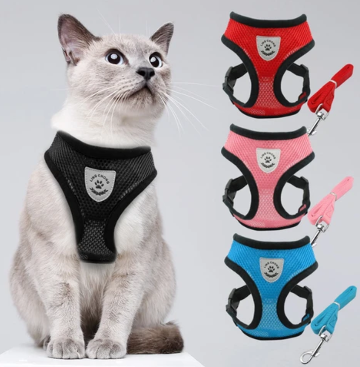 Katte harness and strap for secure outdoor adventure