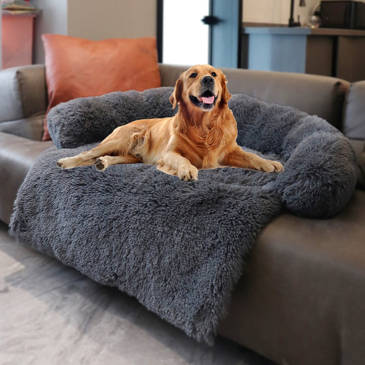 Cosy calming couch feature for dog and cat