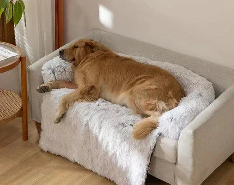 Cosy calming couch feature for dog and cat