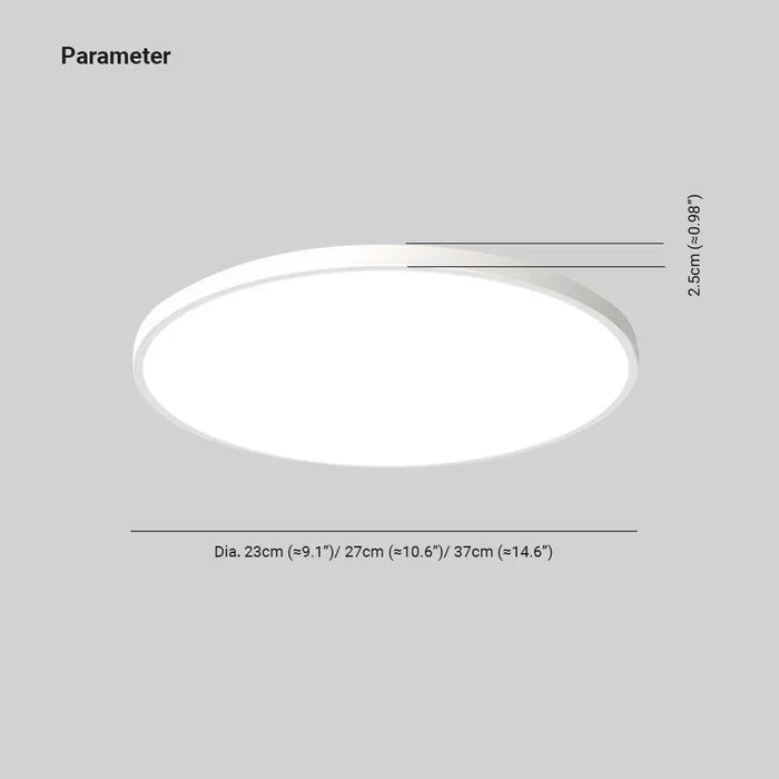 Modern LED ceiling light for the dining room and living room