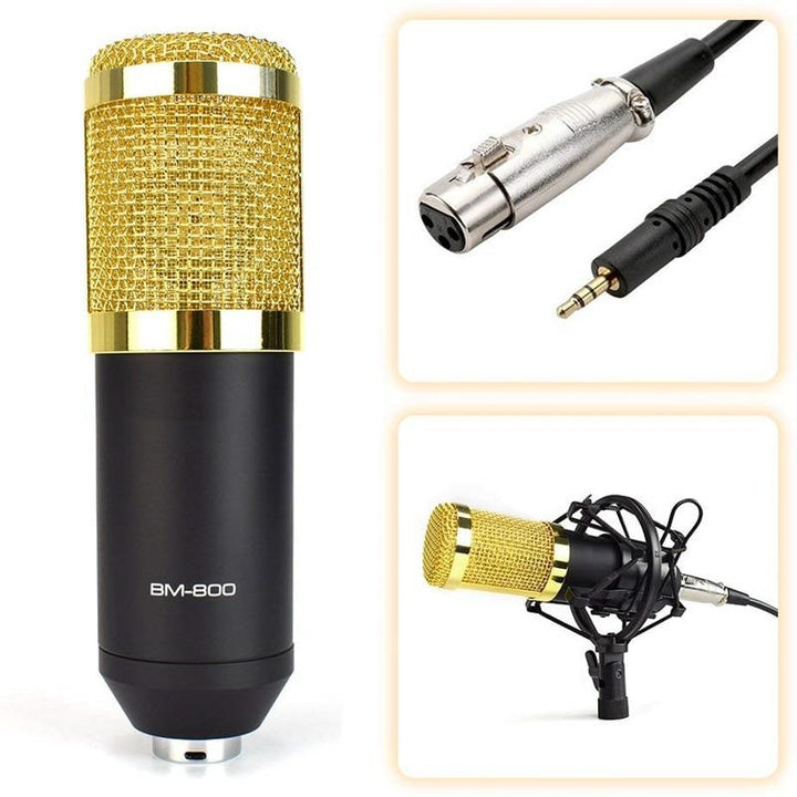 Professional Condenser Microphone Set for Studio Recording