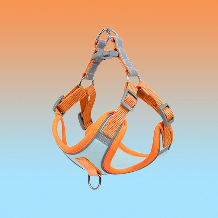 Reflekter only hunde harness &amp; waistcoat for dog &amp; puppy - secure trip